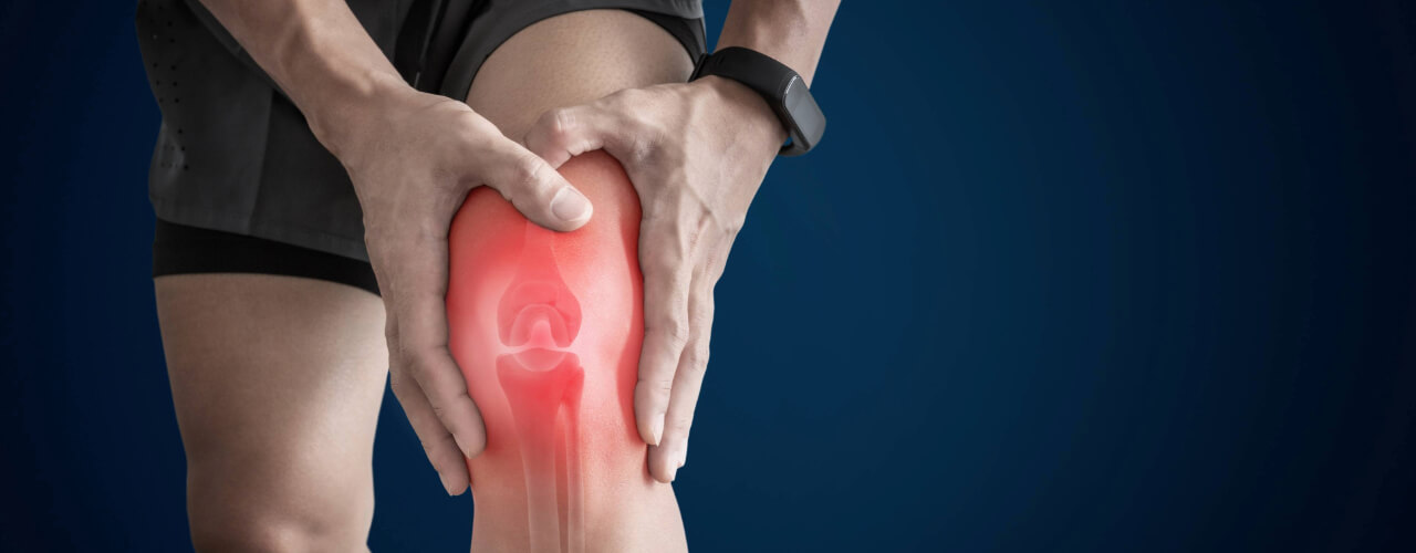 Unleashing Relief with Physical Therapy