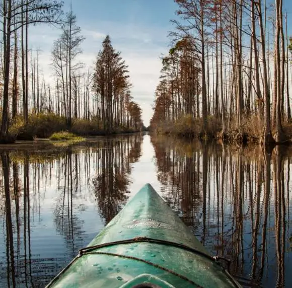 Boulet Physical Therapy and Wellness