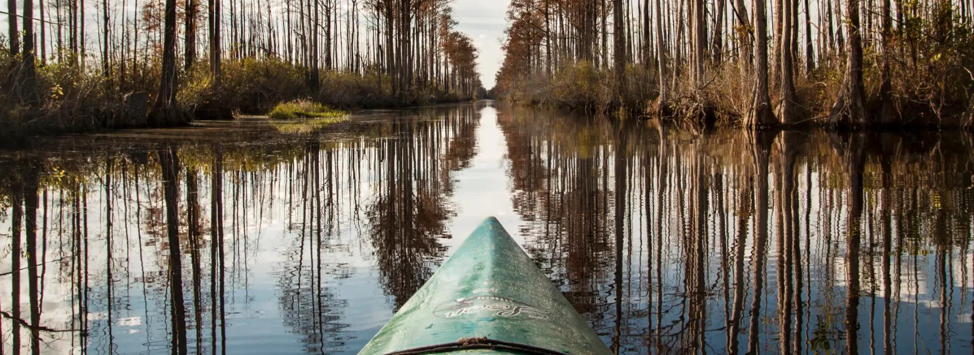 Boulet Physical Therapy and Wellness